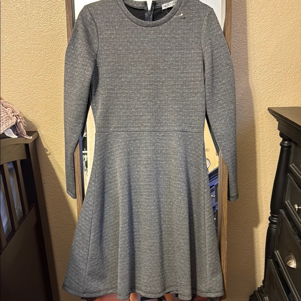 SD Collection Gray Long Sleeve Fit and Flare Dress